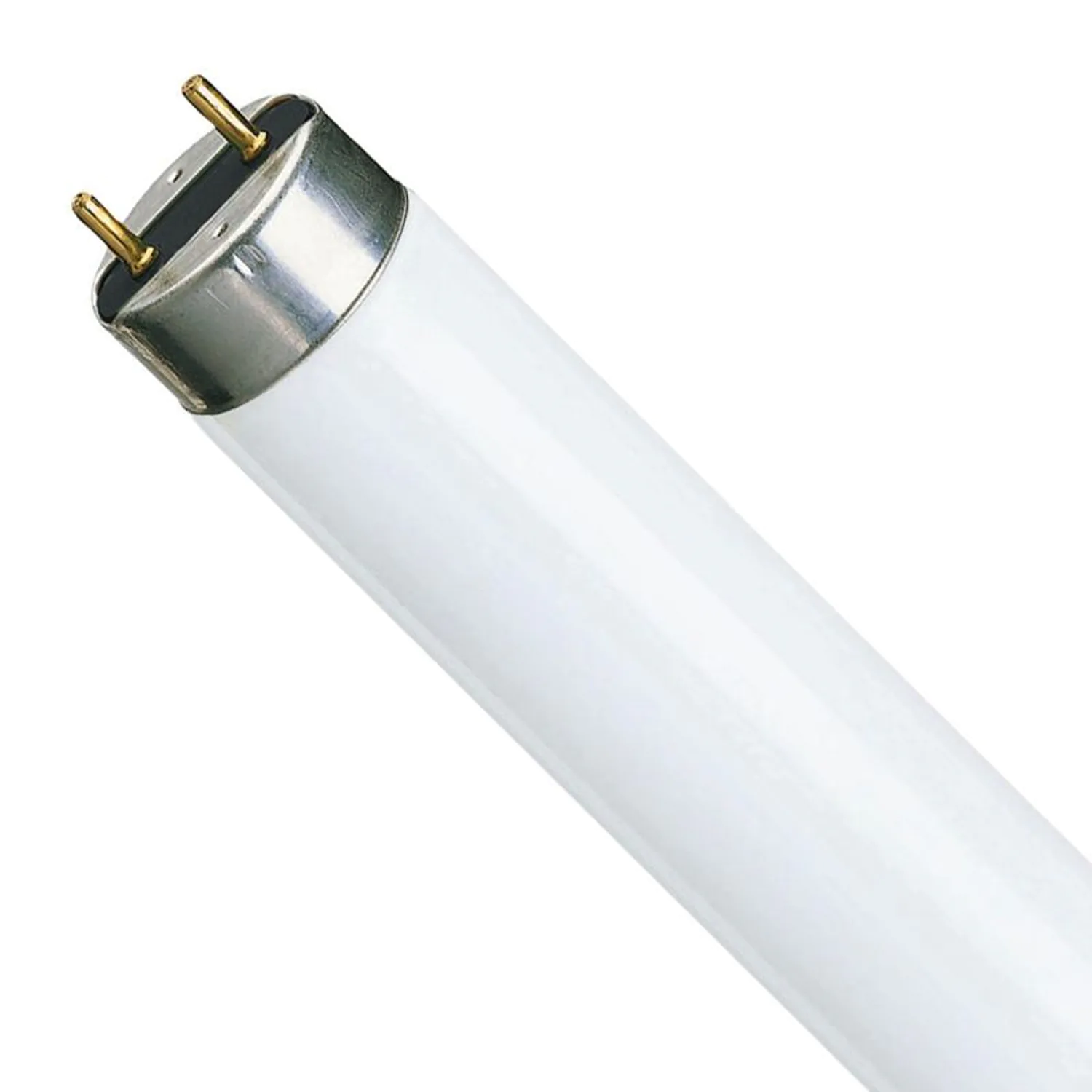 Philips Loisteputket
