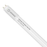 Ledvance LED Putki T8 Value (UN) High Output 24W 2800lm - 840 Kylmä Valkoinen | 150cm - Korvaa 58W