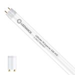 Ledvance LED Putki T8 Superior (EM/Mains) High Output 6.3W 1100lm - 865 Päivänvalo Valkoinen | 60cm - Korvaa 18W