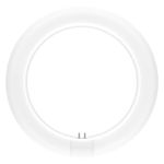Ledvance LED Putki T9 Value Pyöreä (EM/Mains) 11W 1320lm - 865 Päivänvalo Valkoinen | Korvaa 22W