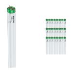 Monipakkaus 25x Philips MASTER TL-D Actinic BL 15W - Ultravioletti | 44cm