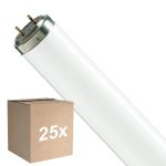 Monipakkaus 25x Philips T8 Flexo print 40W | 60cm - UVA
