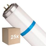 Monipakkaus 25x Philips TL-D MASTER Secura Actinic BL 15W - Blacklight | 44cm