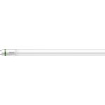 Philips MASTER LED Tube T8 (EM/Mains) Ultra Efficiency 11.9W 2500lm - 865 Päivänvalo Valkoinen | 120cm - Korvaa 36W