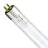 Philips T5 TL - Mini UV - C 16W - Ultravioletti | 29cm