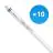 Monipakkaus 10x Philips LED Putki T5 MASTER (HF) High Efficiency 16.5W 2500lm - 840 Kylmä Valkoinen | 115cm - Korvaa 28W