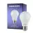 Noxion Lucent Classic LED E27 Päärynä Matta 4.9W 480lm - 840 Kylmä Valkoinen | Korvaa 40W