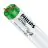 Philips MASTER TL-D Actinic BL 15W - Ultravioletti | 44cm