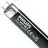 Philips MASTER TL-D 36W - Blacklight Sininen | 120cm