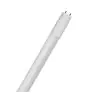 Ledvance LED Putki T8 Superior (EM/Mains) Ultra Output 14W 2600lm - 840 Kylmä Valkoinen | 120cm - Korvaa 36W - Korkea Katto