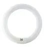 Osram T9 Lumilux Circline 32W - 840 Kylmä Valkoinen | 30cm