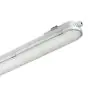Philips LED Loisteputkivalaisimet Vedenkestävä CoreLine WT120C G2 61W 8000lm - 840 Kylmä Valkoinen | 150cm - Dali Himmennettävä 