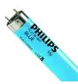 Philips MASTER TL-D 18W - Sininen | 60cm