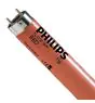 Philips MASTER TL-D 36W - Punainen | 120cm