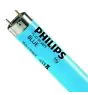 Philips MASTER TL-D 58W - Sininen | 150cm