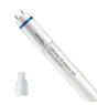 Philips LED Putki T8 MASTER (EM/Mains) High Output 12W 1575lm - 865 Päivänvalo Valkoinen | 90cm - Korvaa 30W
