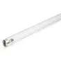 Philips T8 UV - C 25W - Ultravioletti | 44cm