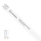 Ledvance LED Putki T8 Value (EM/Mains) Standard Output 11.6W 1400lm - 865 Päivänvalo Valkoinen | 105cm - Korvaa 38W
