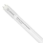 Ledvance LED Putki T8 Value (UN) High Output 18W 2000lm - 840 Kylmä Valkoinen | 120cm - Korvaa 36W