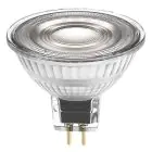 Ledvance Performance LED Kohdevalaisin Heijastin GU5.3 MR16 5W 345lm 36D - 940 Kylmä Valkoinen | Paras Värintoisto - Himmennettävä - Korvaa 35W