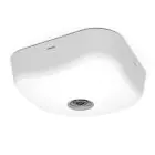 Ansell LED Hätävalaistus Falcon Hätäpoistumistie julkinen tila Valkoinen 3W 153lm 135x17D and 43D - 865 Päivänvalo Valkoinen | IP65 - Hätävalaistus 3 tuntia - Testipainike
