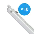 Monipakkaus 10x Philips LED Loisteputkivalaisimet Vedenkestävä CoreLine WT120C G2 42.9W 6000lm - 840 Kylmä Valkoinen | 150cm 