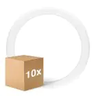 Monipakkaus 10x Ledvance LED Putki T9 Value Pyöreä (EM/Mains) 18.3W 2200lm - 840 Kylmä Valkoinen | Korvaa 32W