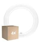 Monipakkaus 4x Ledvance LED Putki T9 Value Pyöreä (EM/Mains) 11W 1320lm - 840 Kylmä Valkoinen | Korvaa 22W