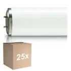 Monipakkaus 25x Philips TL-DK 36W - Blacklight | 60cm - Insectkiller