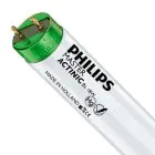 Philips MASTER TL-D Actinic BL 18W - Ultravioletti | 60cm