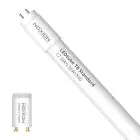 Noxion LED Putki T8 Avant (EM/Mains) Standard Output 15W 1800lm - 840 Kylmä Valkoinen | 120cm - Korvaa 36W