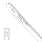 Noxion LED Putki T8 Avant (EM/Mains) Standard Output 7.5W 900lm - 840 Kylmä Valkoinen | 60cm - Korvaa 18W