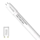 Noxion LED Putki T8 Avant (EM/Mains) Standard Output 19W 2300lm - 865 Päivänvalo Valkoinen | 150cm - Korvaa 58W