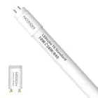 Noxion LED Putki T8 Avant (EM/Mains) Standard Output 19W 2300lm - 840 Kylmä Valkoinen | 150cm - Korvaa 58W
